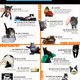 Illustration for article titled Consult This Handy Feline Acceptance Chart, Because Your Cat Is a Total Mystery